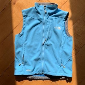 Windshield vest